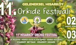 Hisarköy Orkide Festivali hafta sonu yapılacak