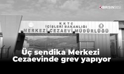 Üç sendika Merkezi Cezaevinde grev yapıyor