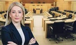 Annita Dimitriu,Ermeni Büyükelçi ile görüştü