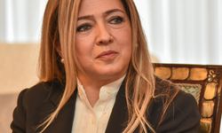 Ombudsman Varol, gece kulüplerine ilişkin soruşturma başlattı