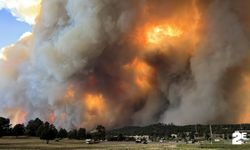 New Mexico orman yangınları 2 iki kişinin ölümüne neden oldu