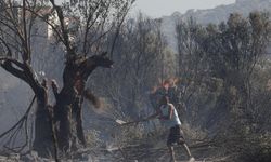 Yunanistan'daki orman yangınlarında bir kişi öldü