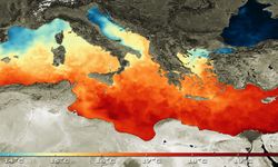 Akdeniz'de deniz suyu sıcaklığının 31 dereceyle rekor seviyeye ulaşması bekleniyor