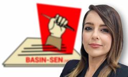 BASIN-SEN, basına yönelik “saldırıyı” yargıya taşıyacak