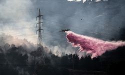 İsrail'in kuzeyindeki birçok bölgede yangın çıktı