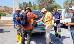 Tarihi yapılarda ot temizliği konusunda eğitimi