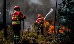 Portekiz'de yangın felaketi: 7 Ölü, 40 yaralı