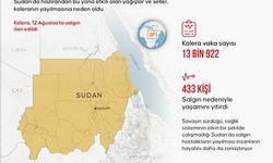 Sudan'daki kolera salgınında hayatını kaybedenlerin sayısı 433'e yükseldi