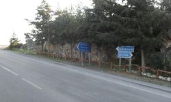 Değirmenlik-Girne dağ yolu güzergahında ağaç budama ve temizlik yapılacak