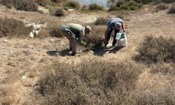 Gaziveren bölgesindeki kirlilik giderildi