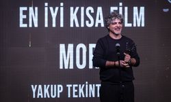 35. Ankara Film Festivali'nde ödüller sahiplerini buldu