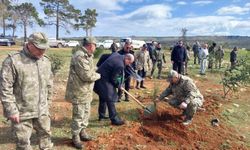 Cumhurbaşkanı Tatar ve eşi, Cumhurbaşkanlığı Hoşgeldin Bebek Hatıra Ormanı’na fidan dikimi etkinliğine katıldı