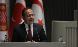 Şahali: “Komiteler hükümet tarafından baskı altına alındı”