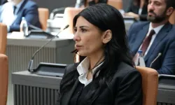 Özdanefe: Trafikte ciddi bir kaos var!