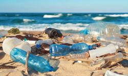KTTB’den plastik kirliliğine karşı uyarı: “Doğaya ve sağlığa sahip çık”
