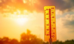 Hava sıcaklığı en yüksek 39 derece
