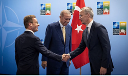 İsveçli diplomat, NATO görüşmesinin notlarını tuvalette unuttu