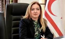 Ombudsman, Serdinç Maypa'nın Girne Antik Liman ihalesine ilişkin şikayetiyle alakalı raporu yayımladı