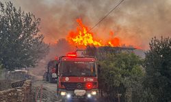 Aydın, Antalya ve Muğla'daki yangınlarla mücadele devam ediyor