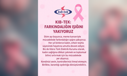 KIB-TEK, Meme Kanseri Farkındalık Ayı’nda Topluma Çağrıda Bulundu