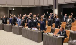 "Kıbrıs Sorununa İki Devletli Çözüm Konusunda Karar Önerisi" oy çokluğuyla kabul edildi