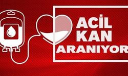 A Rh + pozitif veya A Rh - negatif kan aranıyor!