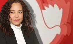 Palm Beach halkındır: Ne satılır ne devredilir!