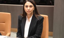 Baybars: “Sabıka Kaydı Yasası, toplum güvenliği açısından risk taşıyor”