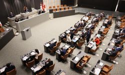 Genel Kurul, yasama ve denetim göreviyle toplanacak