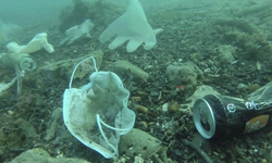 Güney Kıbrıs ve Yunanistan, deniz kirliliği konusundaki IMO oylamasında ABD’nin yanında durdu