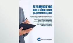 İstatistik Kurumu, Beyarmudu'nda adres güncelleme çalışmalarına yarın başlıyor
