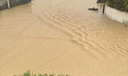 Gençlik Federasyonu'ndan 4 maddelik acil eylem planı çağrısı: Resmî tatil ilan edilmeli!