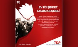 TDP: Ev İçi Şiddet Yasası derhal geçmeli; kadın hakları mücadelesi tamamlanmadı
