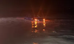 Peyzaj Mimarları Odası: Yaşadığımız şey doğanın değil insanın afetidir