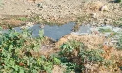 Lefke Çevre ve Ekoloji Derneği: Gemikonağı Deresi’ne yeniden lağım suları karıştı