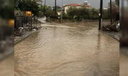 Kırok: "Ekipleriniz Çatalköy–Ozanköy arasındaki yolda çalışmalar yapıyor"