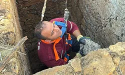 Yeniboğaziçi’nde kuyuya düşen kedi kurtarıldı