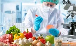 Haftalık denetimde yerli ürün alarmı: Çilek ve salatalıkta limit aşımı