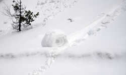 Doğada ender oluşan kar ruloları Ilgaz Dağı'nda görüldü