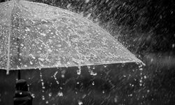 Ülkede son 24 saatte en fazla yağış Karpaz bölgesinde kaydedildi