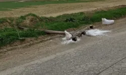 Gürpınar ve Yılmazköy’de trafik kazası nedeniyle elektrik kesintisi!