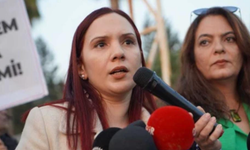 Cansu Nazlı'dan ülkedeki güvenlik zafiyetlerine ilişkin açıklama!