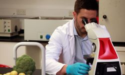 Haftalık gıda denetimleri... 2 yerli üründe tavsiye dışı bitki koruma ürünü tespit edildi