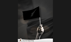 Tabipler Birliği, toplumu Sağlık Hizmetleri Dairesi Yasa Tasarısı’na karşı ses yükseltmeye çağırdı