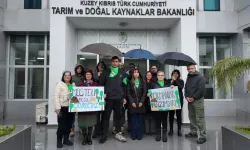 Patika Doğa Sporları Derneği: Ormanlarda ücretlendirme ve izinler Anayasa’ya aykırı