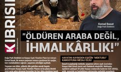 Öldüren araba değil, İHMALKARLIK!