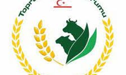 TÜK yemlik arpanın çarşamba günü gelmesinin beklendiğini açıkladı