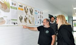 Nilden Bektaş Erhürman, Taşkent Doğa Parkı’nı ziyaret etti