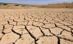 Türkiye’de 60 yılda kaybedilen sulak alanlar Marmara Denizi'nin büyüklüğünü aştı