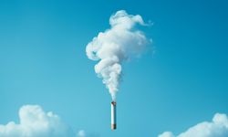 Dünya genelinde tütün kullanımını bırakma konusunda kadınlar öncülük ediyor